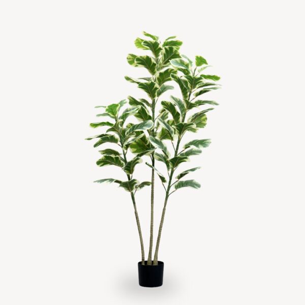 Umělý Ficus Lyrata 180 cm