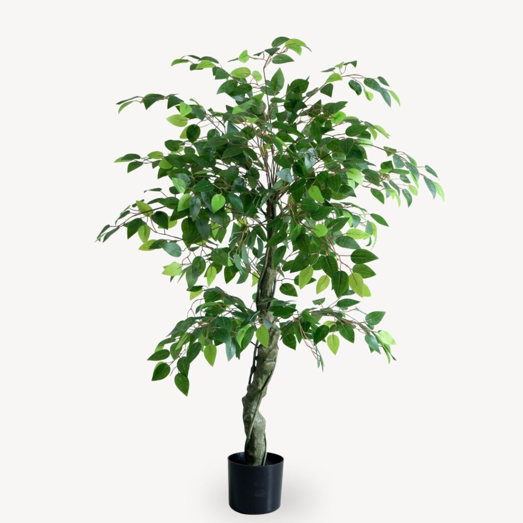 Umělý Ficus Vícepatrový 180 cm
