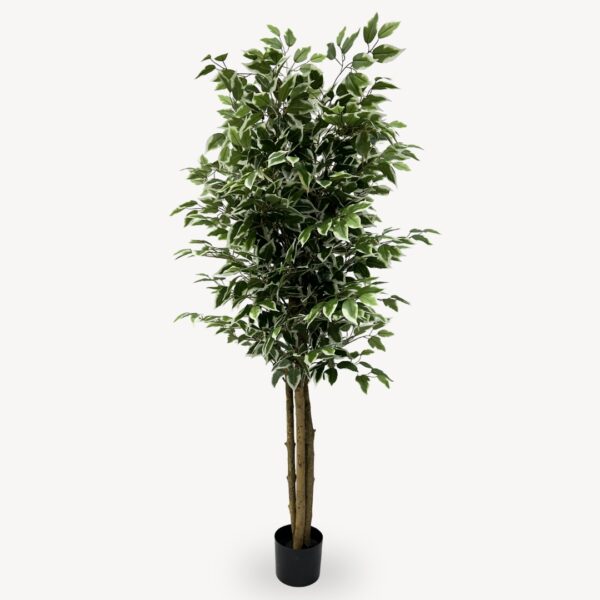 Umělý Ficus Twilight 160 cm